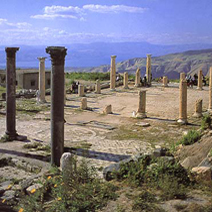 Day tour to Jerash, Ajloun & Umm Qais from Amman